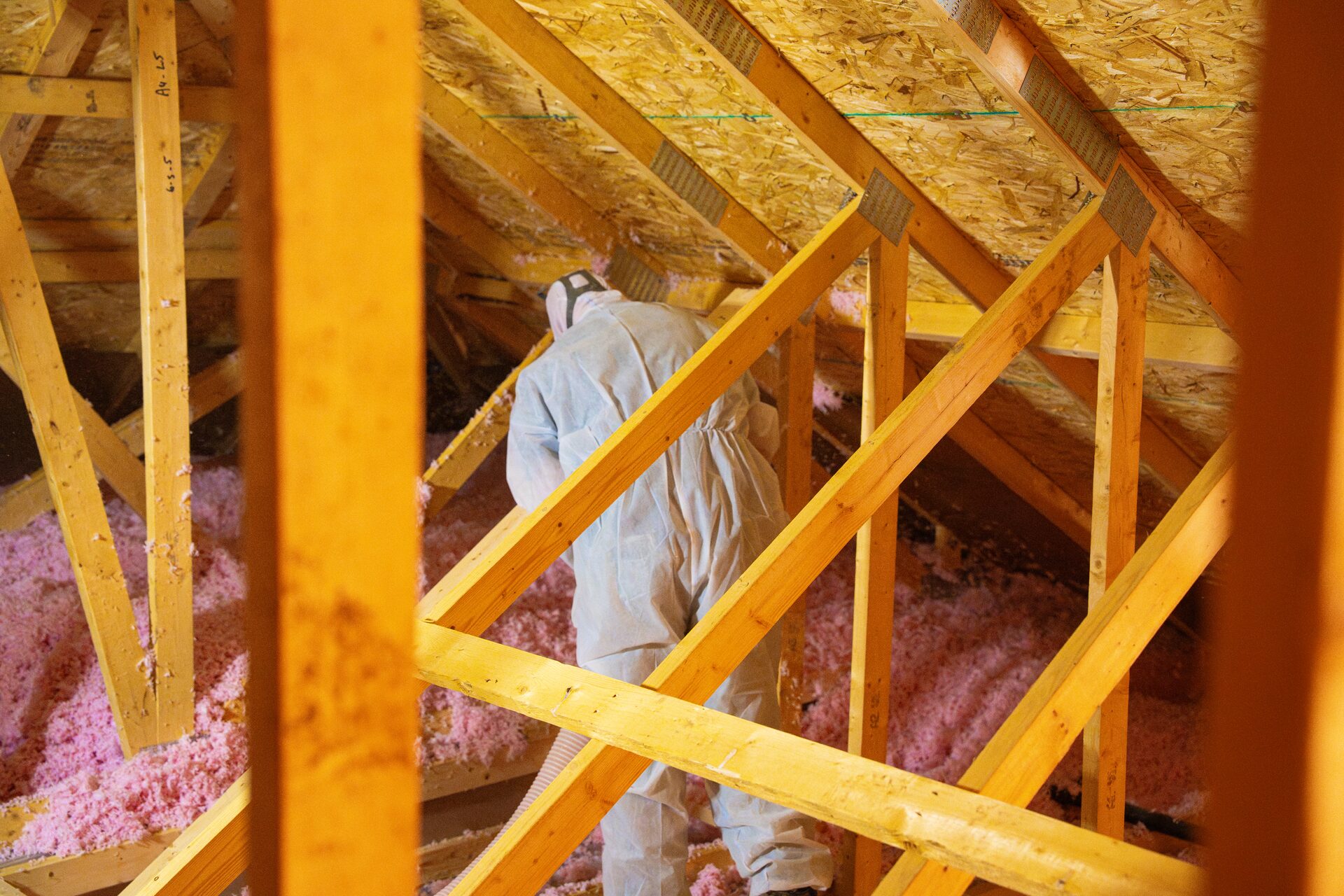 Eco Insulation installer blowing fresh insulation in an attic